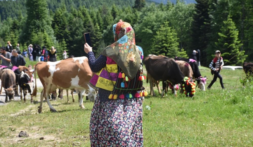 Gelin gibi süslenen hayvanları ile göçe başladılar