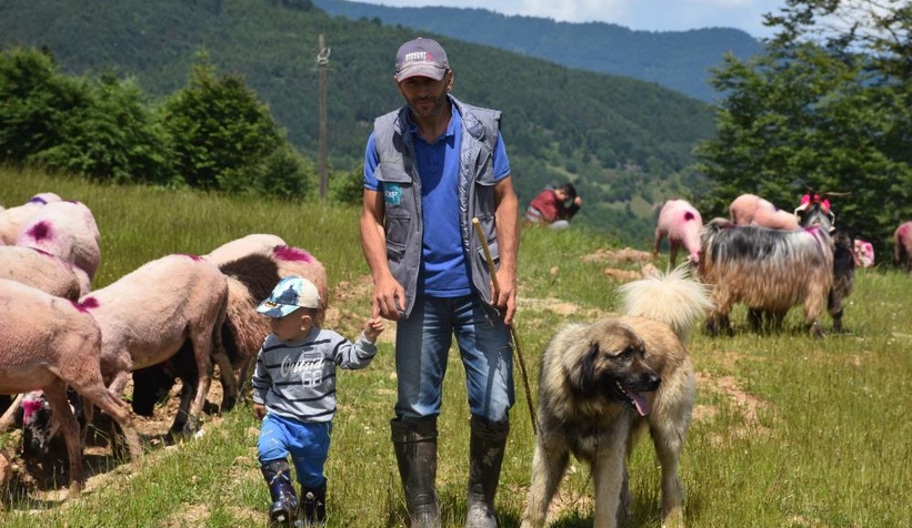 Gelin gibi süslenen hayvanları ile göçe başladılar