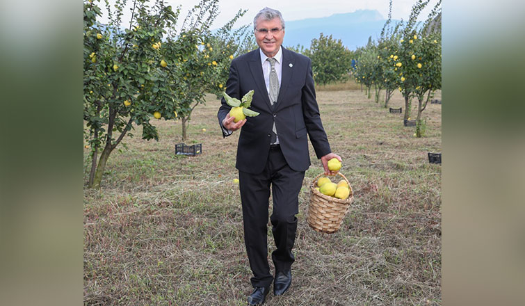 geyve-ayva-festivali-basladivzbwmw5qyk