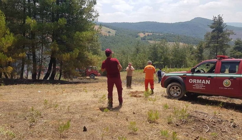 Geyve'de orman yangını