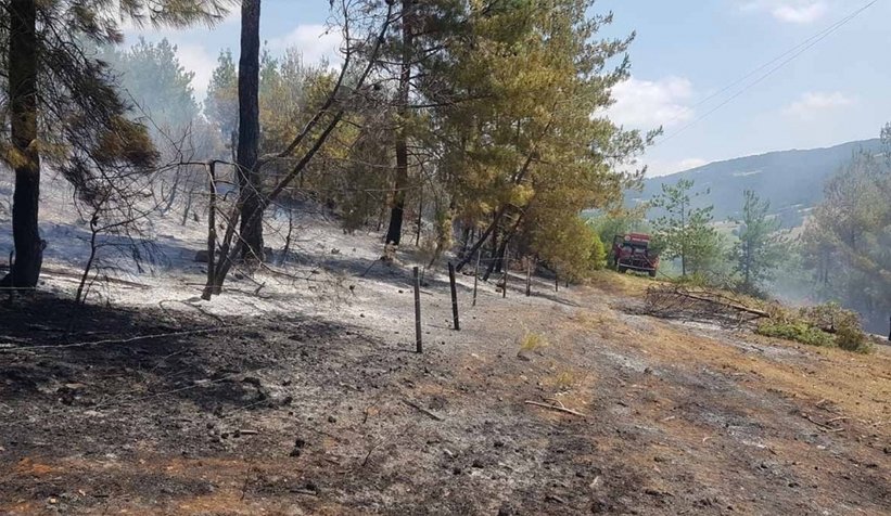 Geyve'de orman yangını