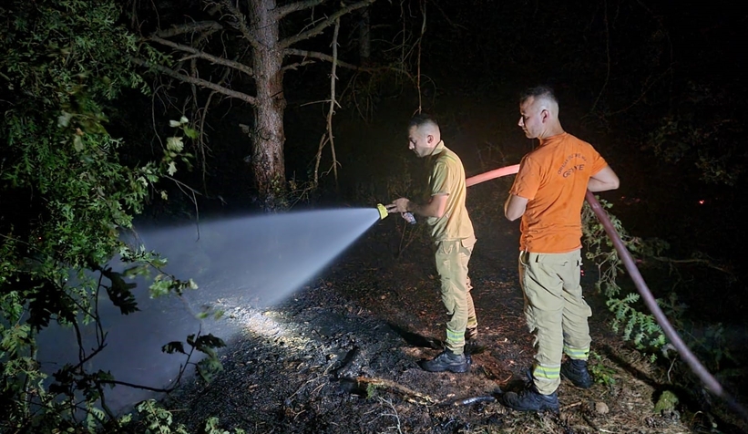 Geyve'de orman yangını