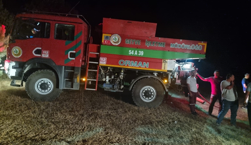 Geyve'de orman yangını