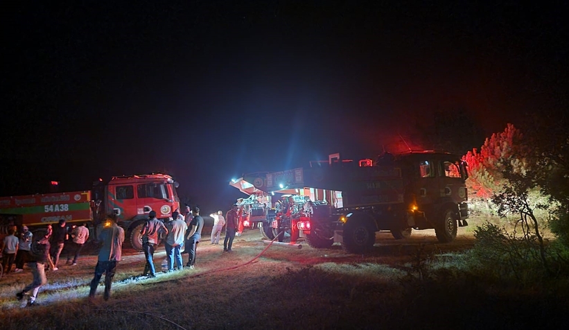 Geyve'de orman yangını