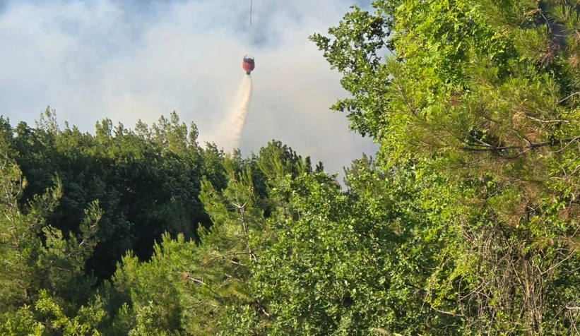 Geyve'de orman yangını