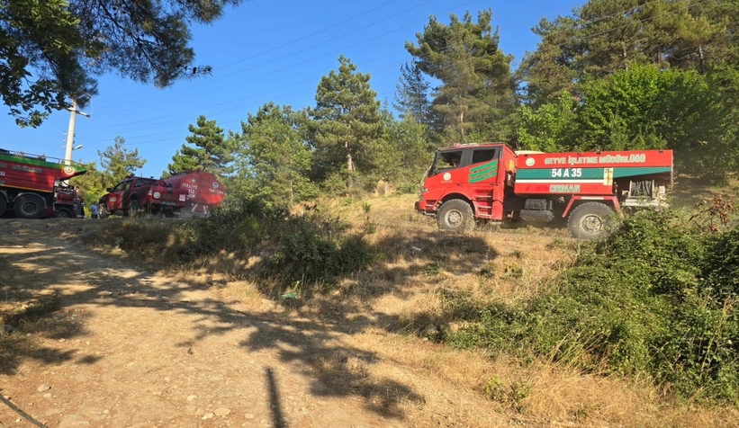 Geyve'de orman yangını