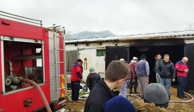 Geyve'de tavuk çiftliği yandı