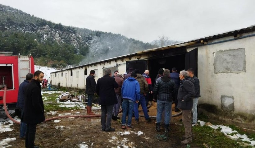 Geyve'de tavuk çiftliği yandı