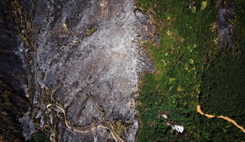 Geyve'de yanan ormanlık alan havadan görüntülendi