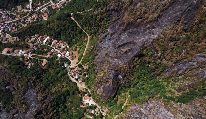 Geyve'de yanan ormanlık alan havadan görüntülendi