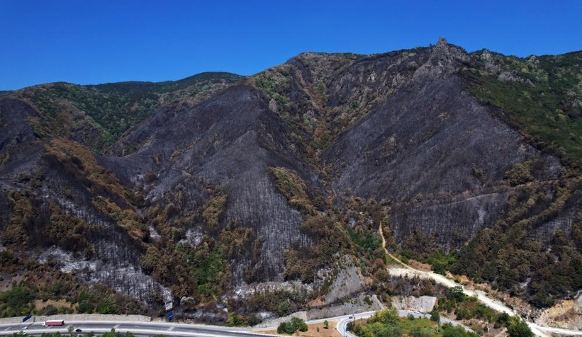 Geyve'de yanan ormanlık alan havadan görüntülendi