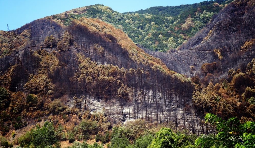 Geyve'de yanan ormanlık alan havadan görüntülendi