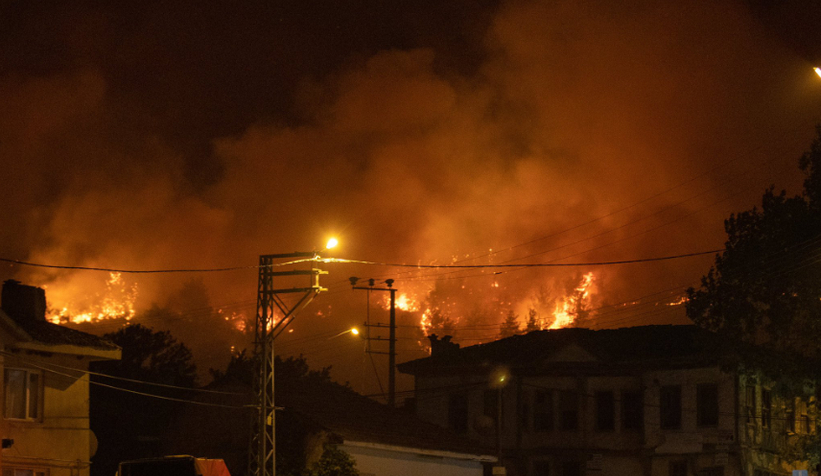 Geyve'deki orman yangını kısmen kontrol altına alındı