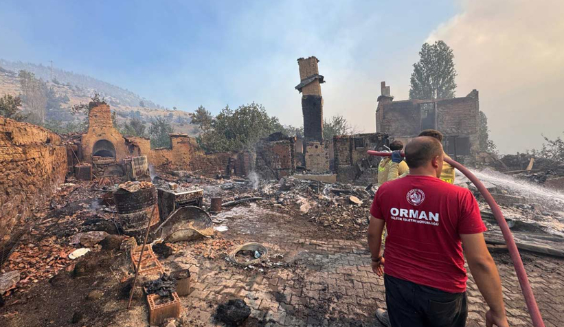 Geyve'deki orman yangını kısmen kontrol altına alındı
