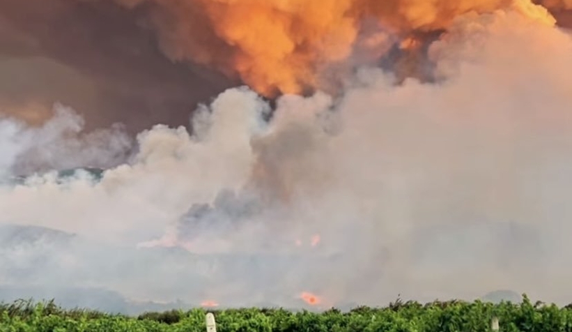 Geyve'deki orman yangını kısmen kontrol altına alındı
