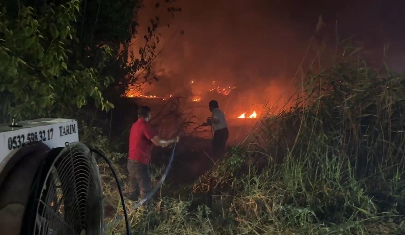 Geyve'deki yangın tarım arazilerine sıçradı