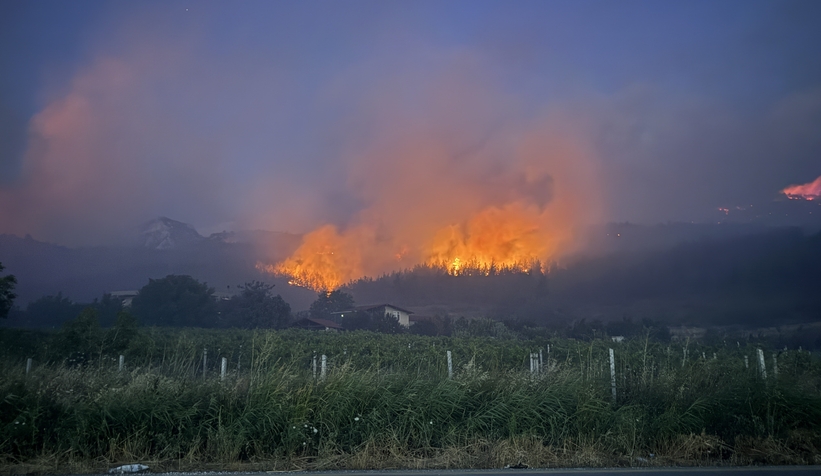 Geyve'deki yangın tarım arazilerine sıçradı