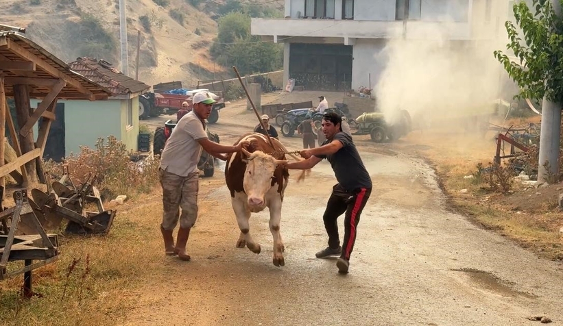 Geyve'deki yangında bir mahalle boşaltılıyor