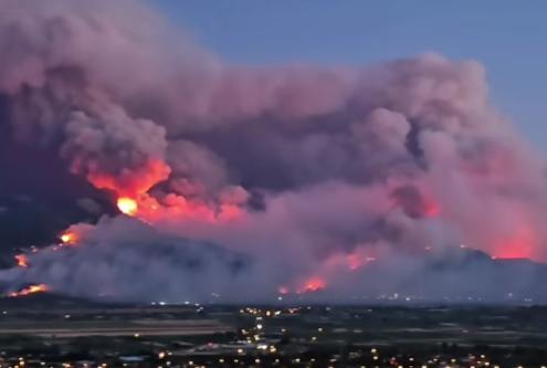 Geyve'deki yangının bilançosu: 1500 hektar orman kül oldu