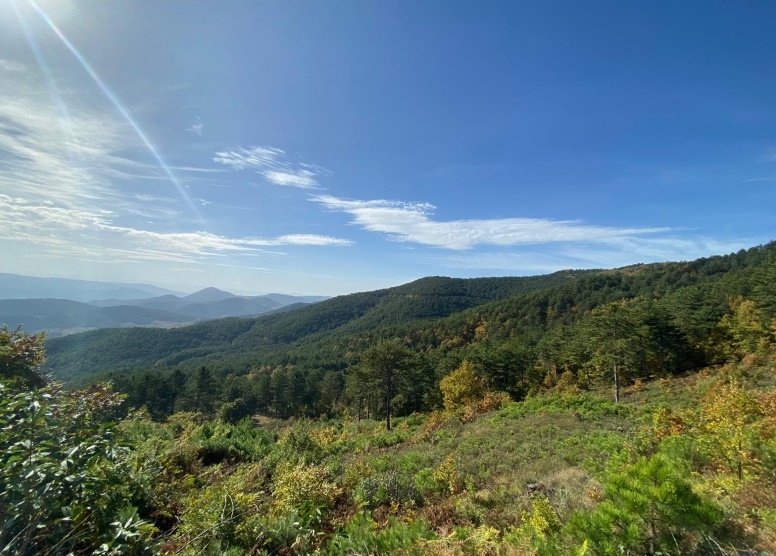 Geyve'ye 26 adet rüzgar türbini daha kurulacak