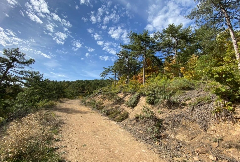 Geyve'ye 26 adet rüzgar türbini daha kurulacak
