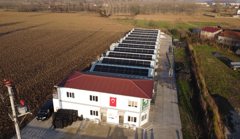 Girişimci çift, devlet desteğiyle kurdukları tesiste yıllık 200 ton kültür mantarı üretiyor