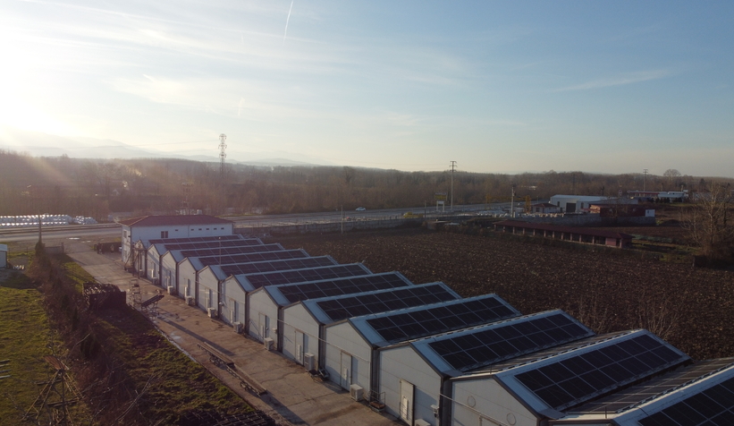 Girişimci çift, devlet desteğiyle kurdukları tesiste yıllık 200 ton kültür mantarı üretiyor