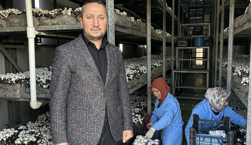 Girişimci çift, devlet desteğiyle kurdukları tesiste yıllık 200 ton kültür mantarı üretiyor