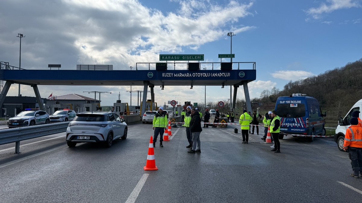Gişelere çarpan araçta yanarak öldü