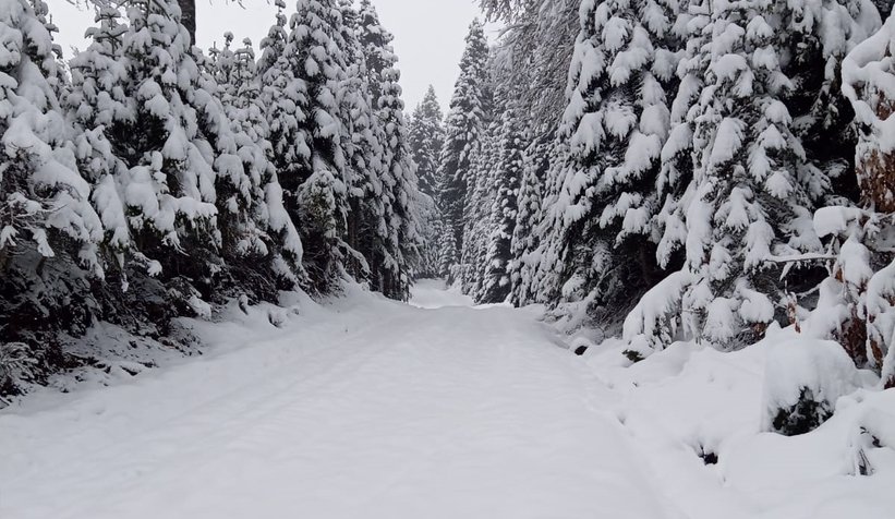 Gökçeler Kındıra Yaylası'nda kar kalınlığı yarım metreyi buldu