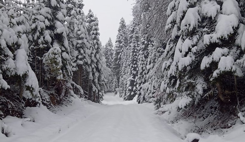 Gökçeler Kındıra Yaylası'nda kar kalınlığı yarım metreyi buldu