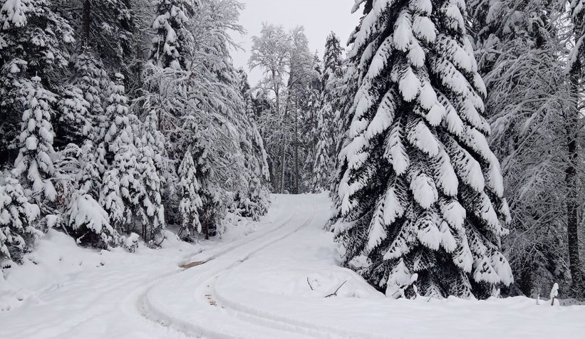 Gökçeler Kındıra Yaylası'nda kar kalınlığı yarım metreyi buldu