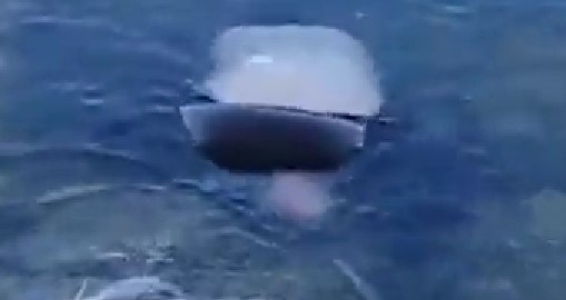 Gölde ceset bulundu