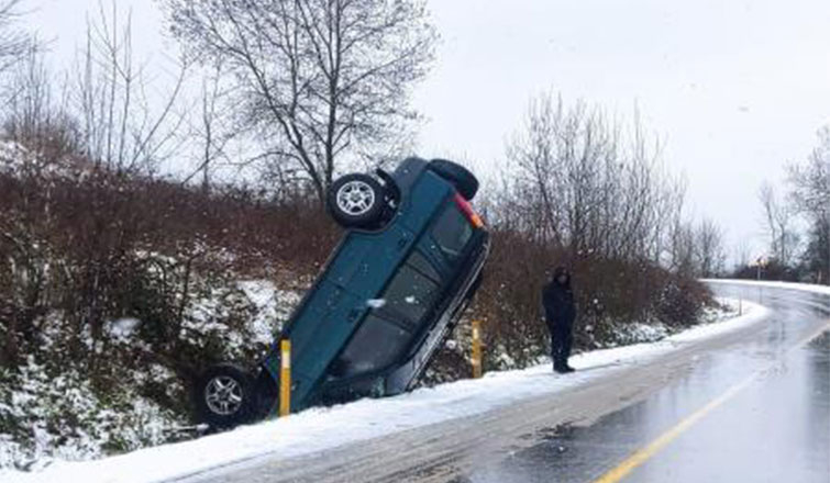 Görenler şaşkınlıkla izledi