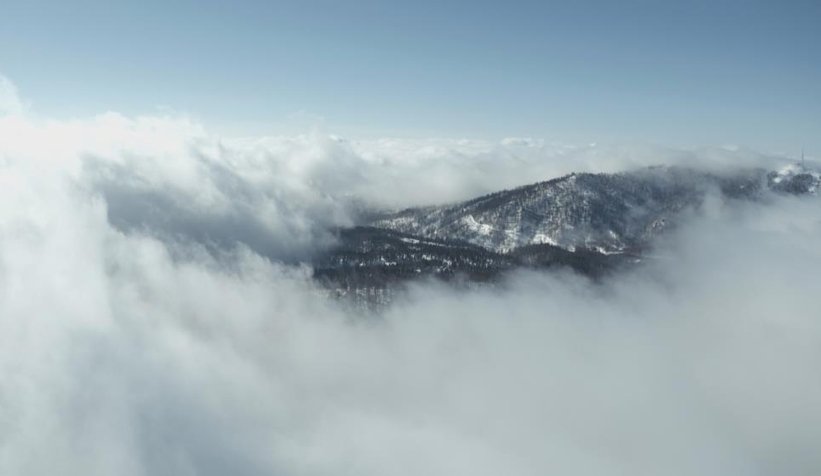 Görüntü kartepe'den