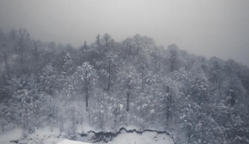 Görüntü kartepe'den