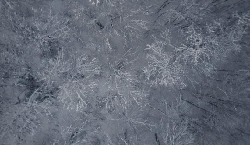 Görüntü kartepe'den