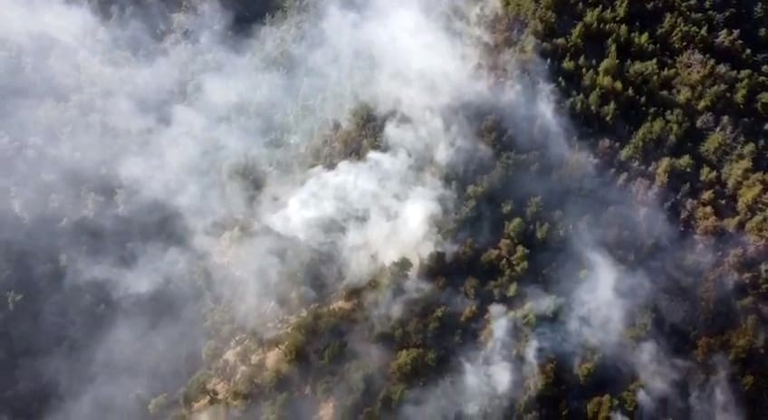 Göynük'te 5 hektarlık alan küle döndü