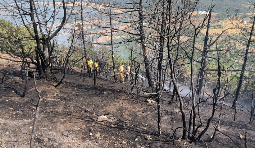 Göynük'te büyük orman yangını