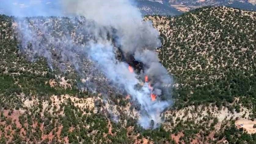 Göynük'te büyük orman yangını