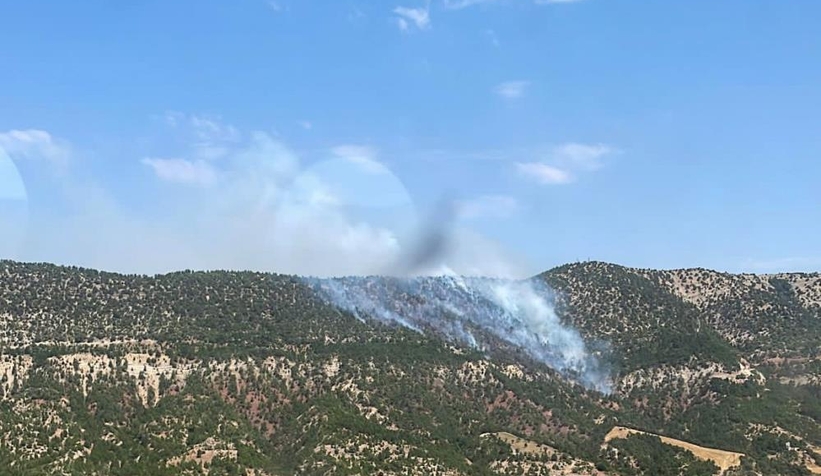 Göynük'te büyük orman yangını