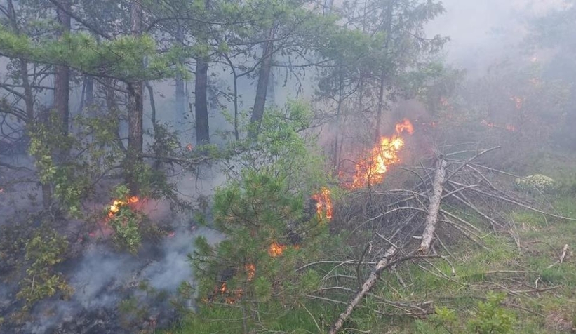 Göynük’te orman yangını kontrol altına alındı