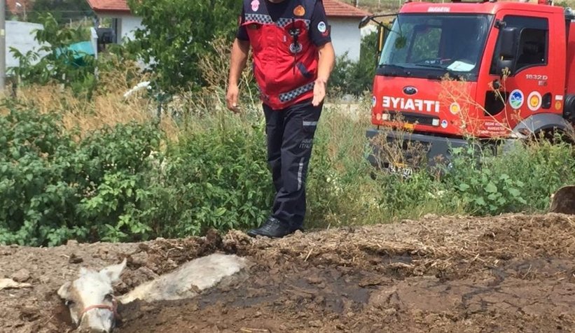 Gübre yığının içine batan eşek kurtarıldı