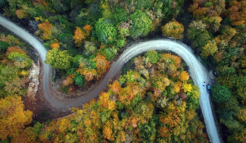 Günün en güzel fotoğrafları