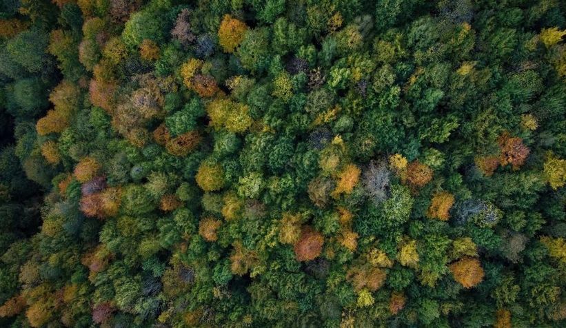 Günün en güzel fotoğrafları