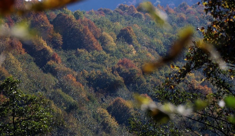 Günün en güzel fotoğrafları