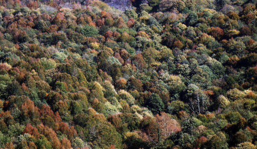 Günün en güzel fotoğrafları