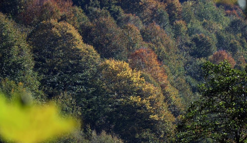 Günün en güzel fotoğrafları