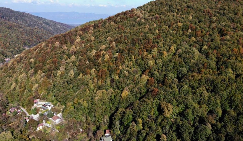 Günün en güzel fotoğrafları