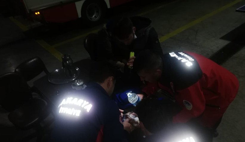 Güvercini için itfaiyeden yardım istedi